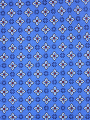 Cravatta blu avion 3 Pieghe GASPACE in seta stampata inglese