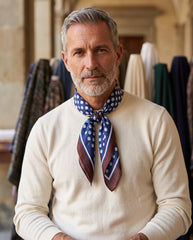 Foulard uomo a pois blu e marrone in seta stampata SMEAGOL
